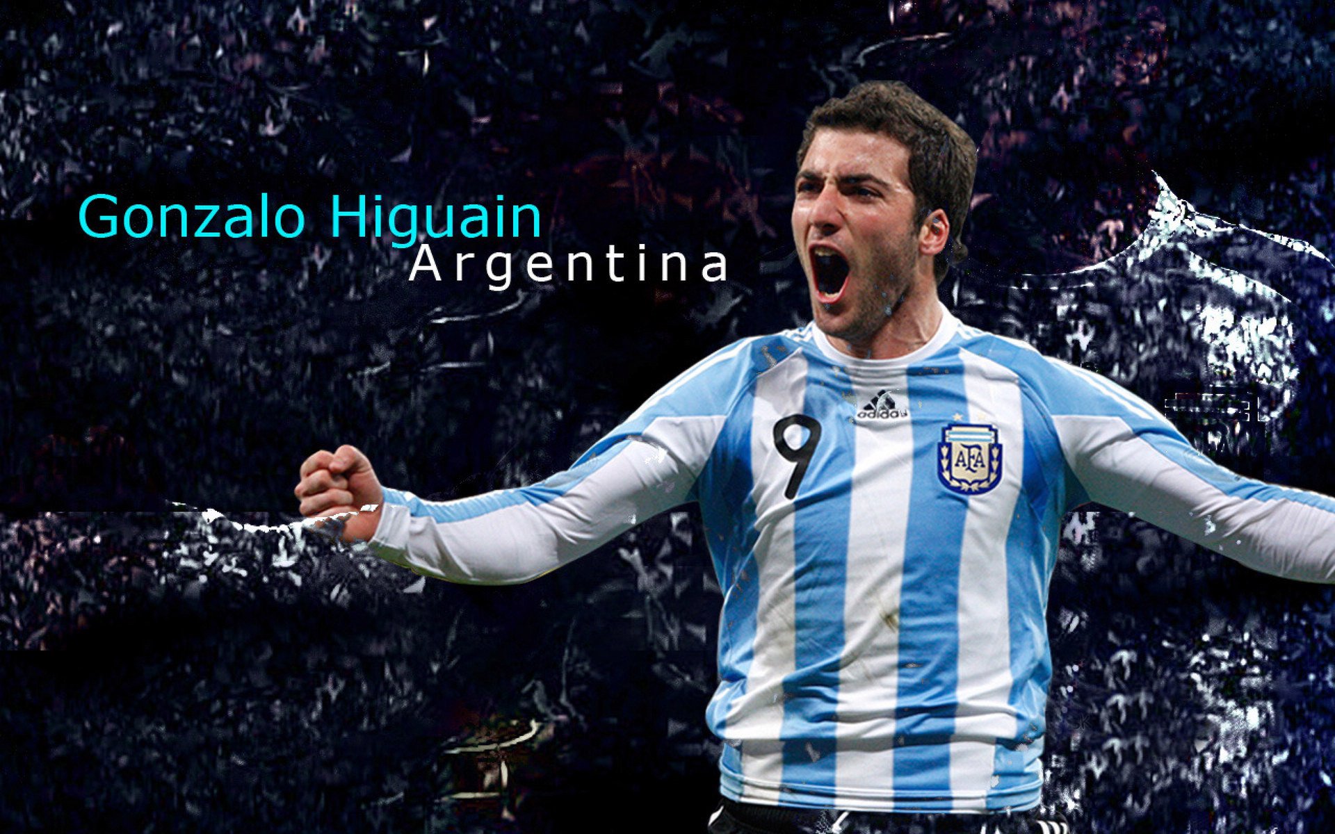 落败中的希望：败者也有赢的理由！，落败的唯美完美解释