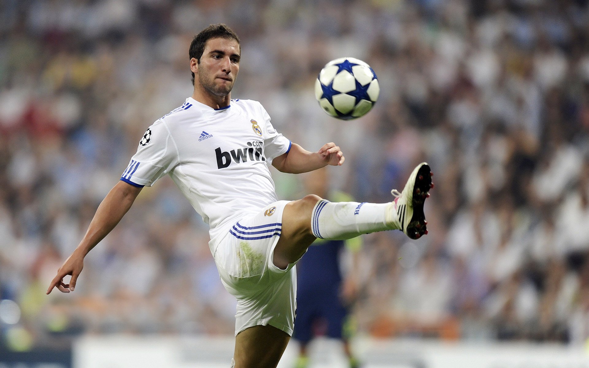 行业标准逐步完善：让电竞更具权威和公信力，电竞行业的相关政策